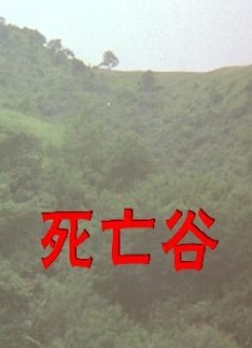 《死亡谷》全集-高清电影完整版-在线观看-搜狗影视