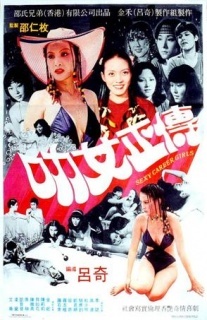 《<em>叻女正传</em>》全集-高清电影完整版-<em>在线观看</em>-搜